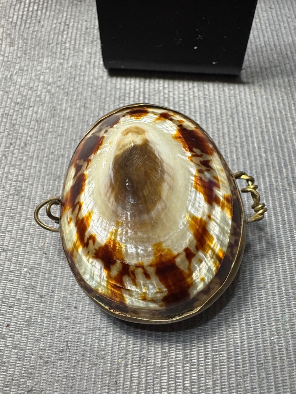 Source Unknown Brown and Cream Shell Pendant/Trinket Box